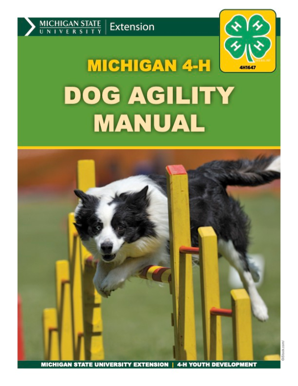 In Michigan 4-H, agility supplies 4-H members and their dogs with something fun to do. It also helps to build confidence and teamwork between the 4-H members and their dogs.
