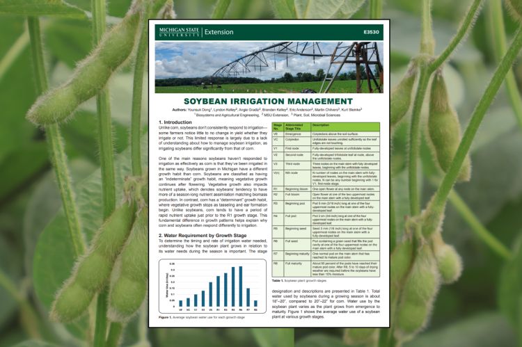 For decorative purposes.