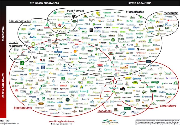 For decorative purposes.