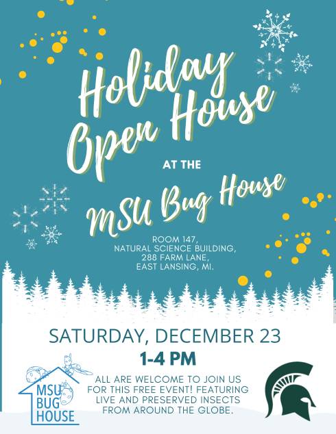 Decorative snowflakes and conifer trees highlight text that reads 