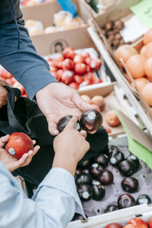 Two people inspecting plums at a grocery store or farm market.