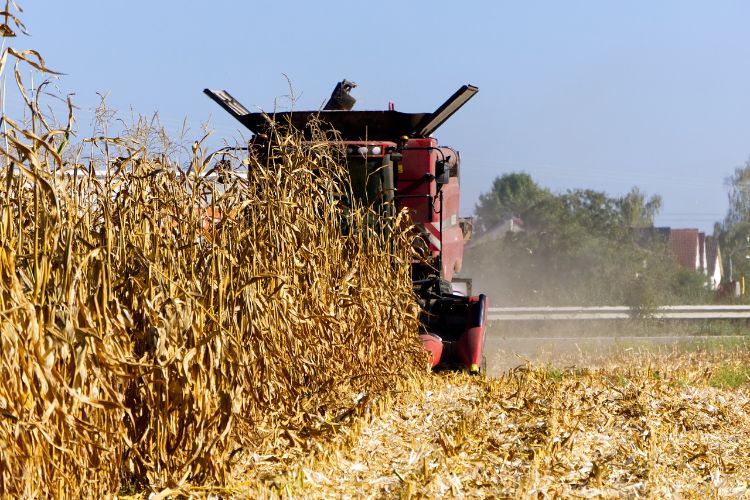 A tractor harvesting crops.