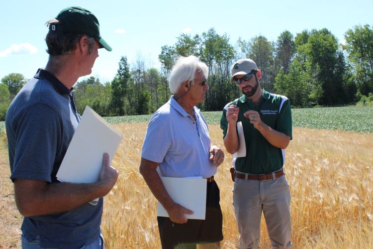 Discussing field crops.