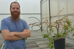 Horticulture postdoc researcher awarded USDA fellowship to study tree architecture