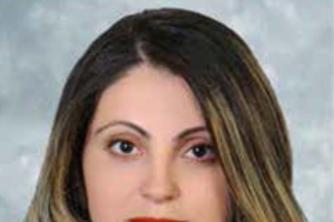 Building foundations for international collaboration