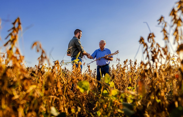 A photo of the first page of the resource.