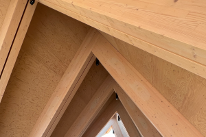 MSU Forestry partnership with Finland