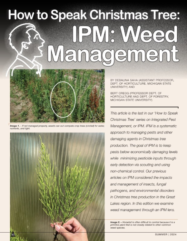 A photo of the first page of the resource.