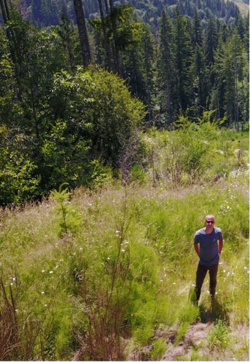 Professor Dave Carter surrounded by trees and mountains.