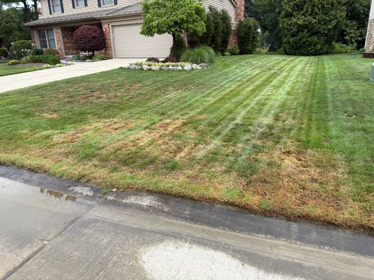 A residential front lawn with visible brown and dry patches of grass caused by heat stress, contrasting with greener, healthier areas near the driveway and house.