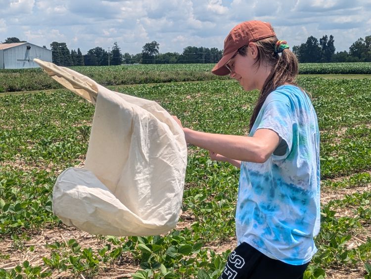 Makayla Guenther works in the field collecting  slugs.