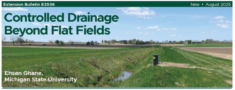 For decorative purposes.