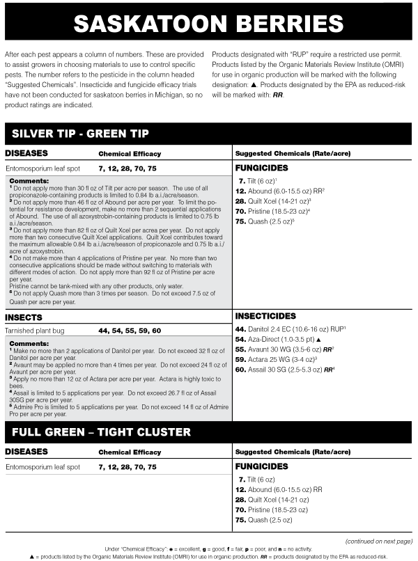 For decorative purpose