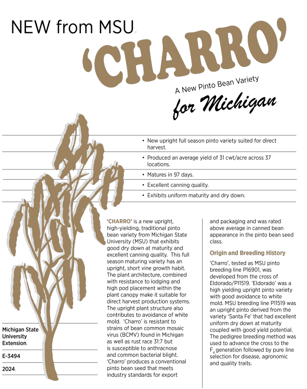 Cover of front of fact sheet.