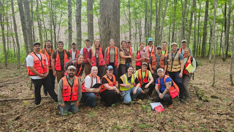 Students in the MSU MSU Forestry online master’s program.