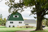 In the Field 2019 Cover