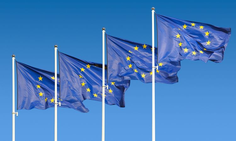 European Union flags