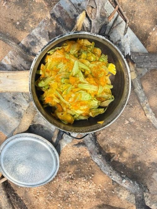 Pumpkin leaves and flowers in a pot.