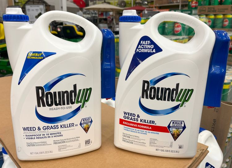 Two Roundup bottles sitting on a shelf. One is Roundup Weed and Grass Killer and the other is Roundup Weed and Grass Killer Exclusive Forumla.