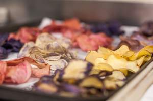 Biotech in Indonesia & Bangladesh