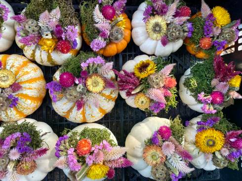 Fall floral arrangements in pumpkins.