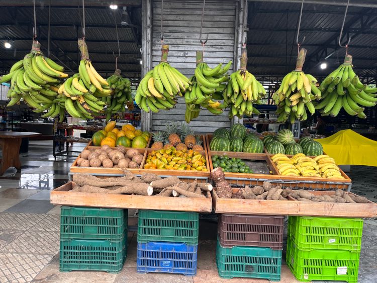 bananas hanging over an outdoor fruit stand