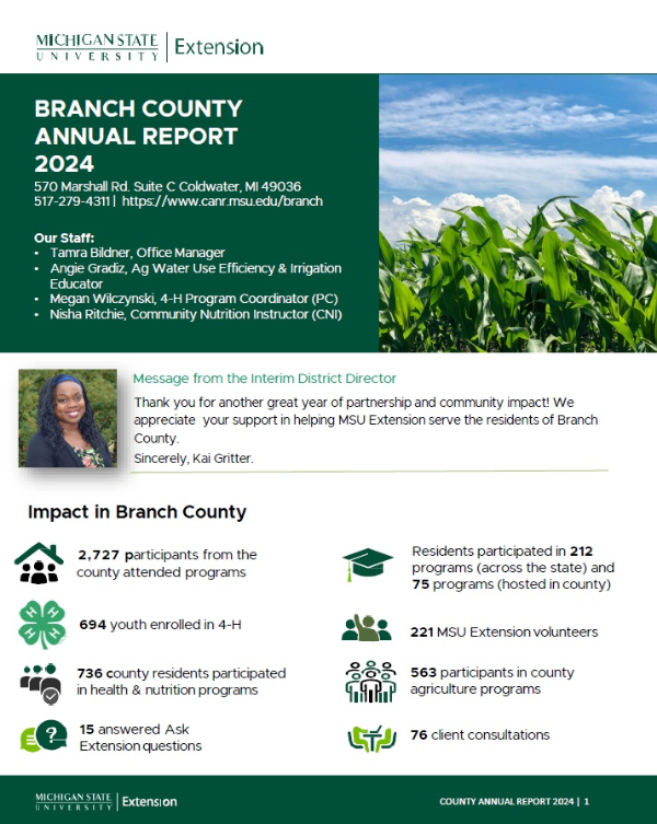 Branch County report cover