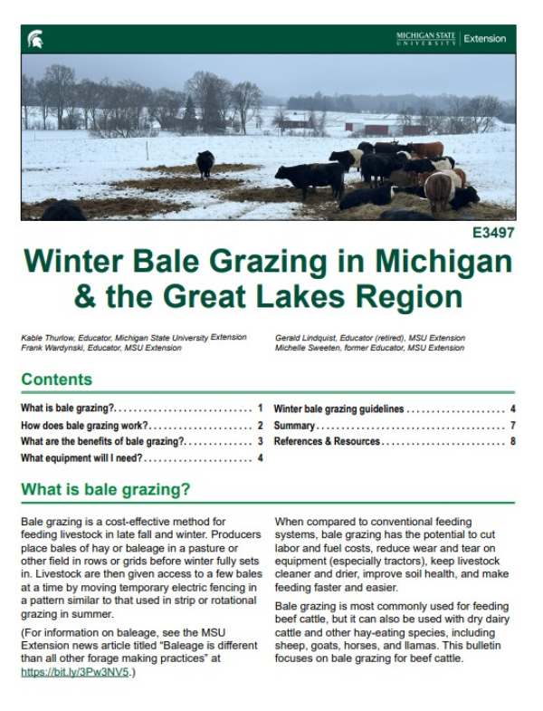 A photo of the first page of the resource.