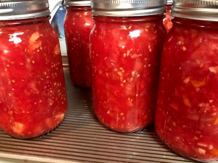 Growers are harvesting processing tomatoes. Photo courtesy of Simple Gifts Farm.