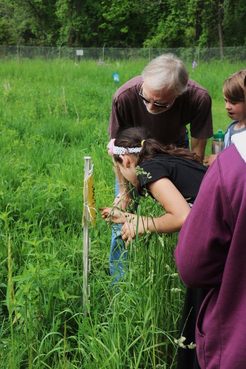 Photo by Bethany Bohlen, Michigan State University Extension