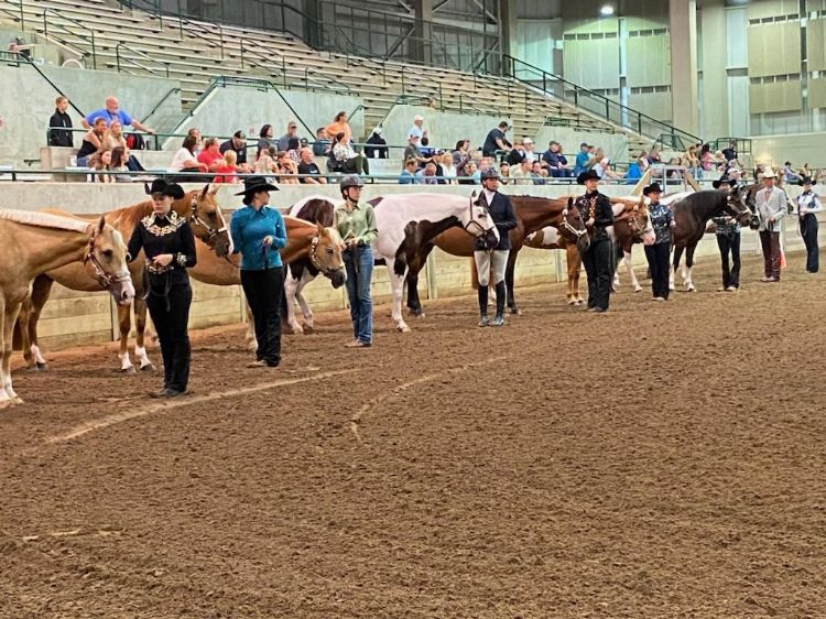 A huge class of senior showmen kicked off the show on Saturday morning. Photo by MSU Extension staff.