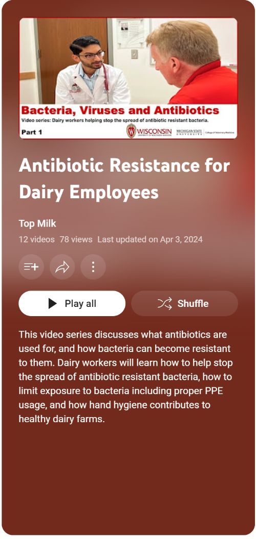 Screenshot of the series