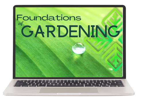 An open laptop with the words 