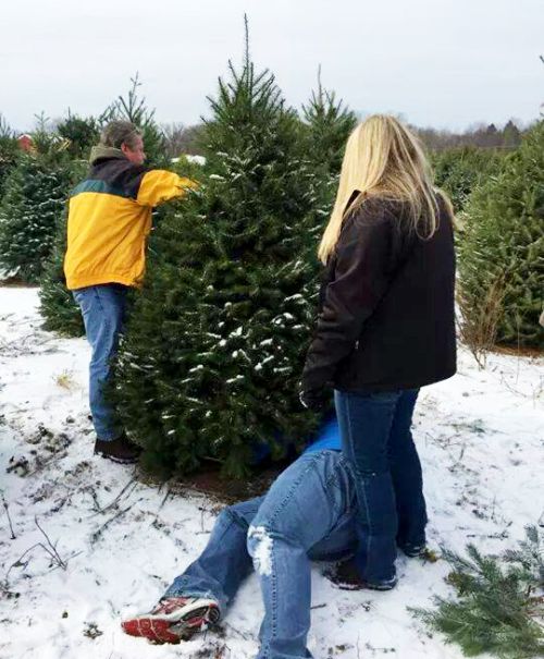 Two people stand next to a Christmas tree while a third person lays underneath it, cutting it down.