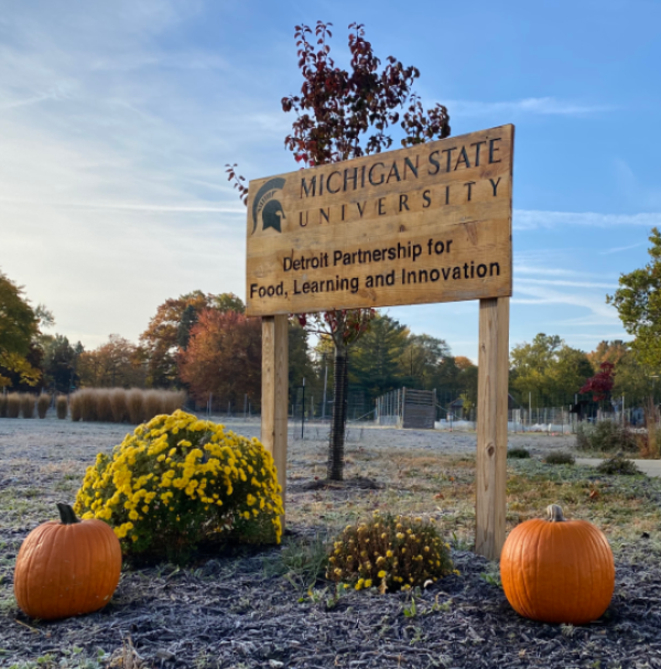 For decorative purposes.