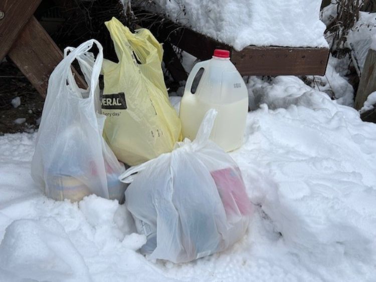 A photo of groceries sitting out in the snow.
