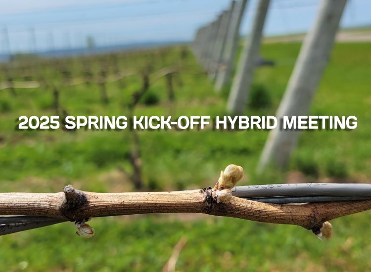 A closeup of a winegrape bud with text over the image saying 