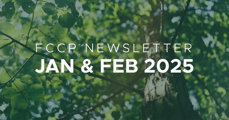 Picture of a tree with branches with 