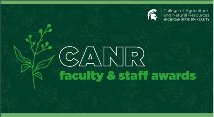 A green banner image with the text 