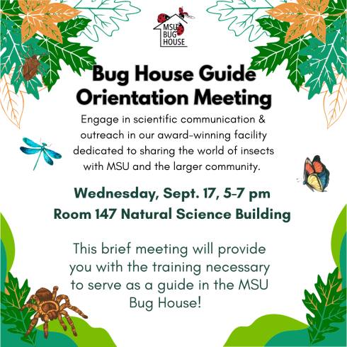 Leaves and bugs frame text that reads 