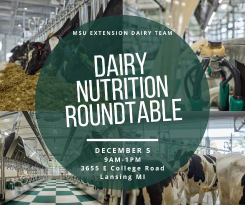 dairy nutrition roundtable flier