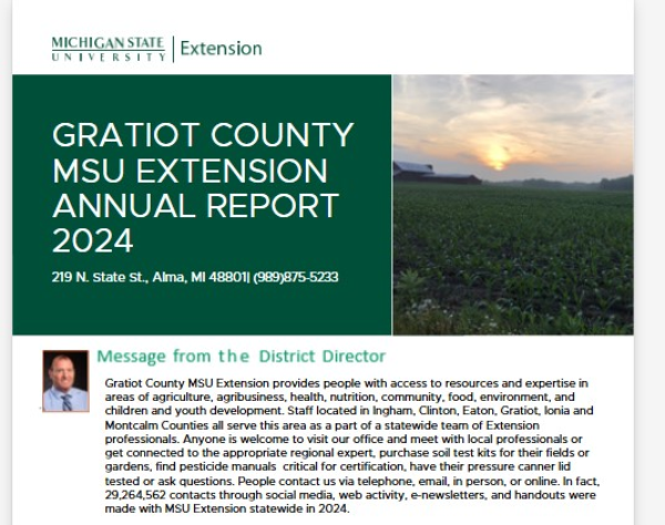 District Director's message