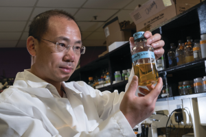 A new frontier: MSU researchers examining technology through the lens of food safety