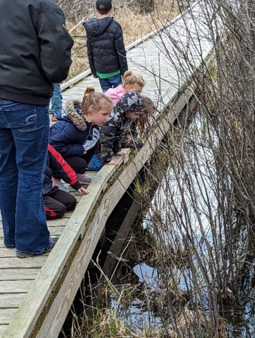 Youth looking into the water below a wooden walkway.