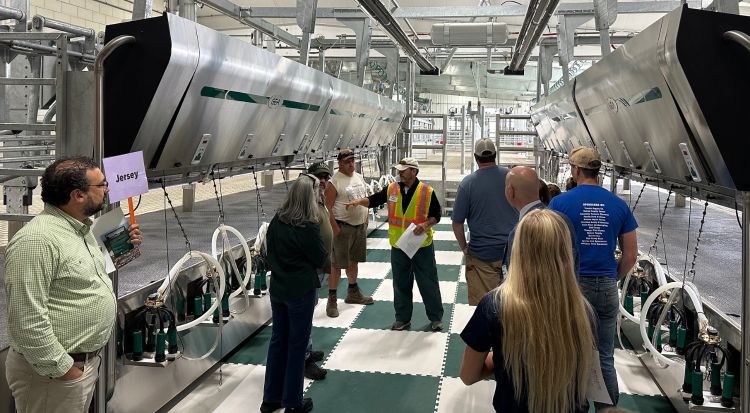 Guests tour the milking parlor of the new MSU Dairy Cattle Teaching and Research Center.