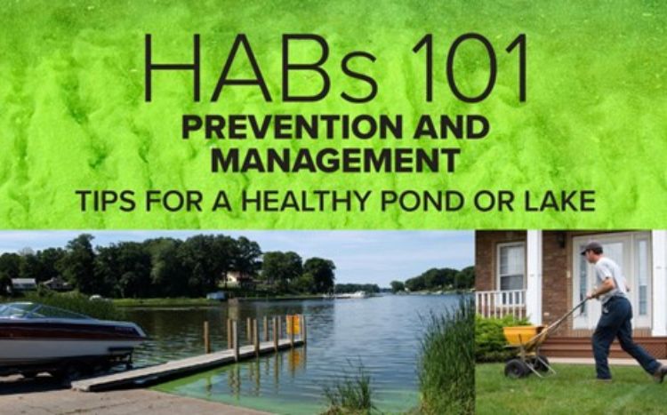 Decorative item - Title of the presentation HABs 101: Prevention and maintenance. Tips for a healthy pond or lake.
