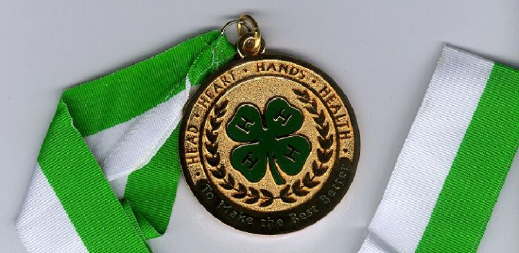 A 4-H medal on a green and white ribbon.