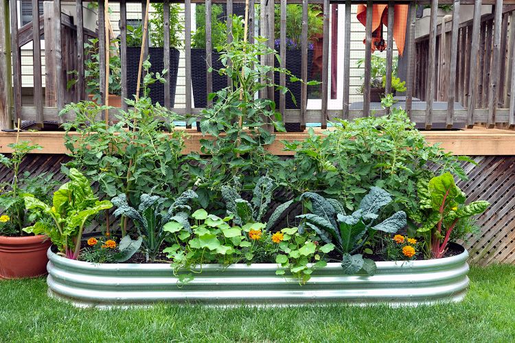 A container garden filled with various plants in front of a porch.