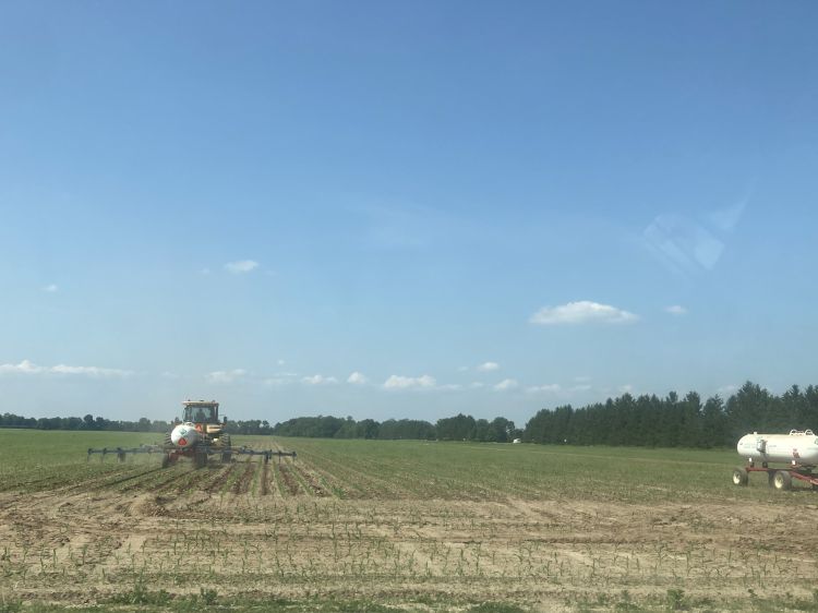 For decorative purposes.