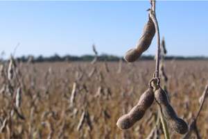 Jim Hilker: Market Outlook - August 2018